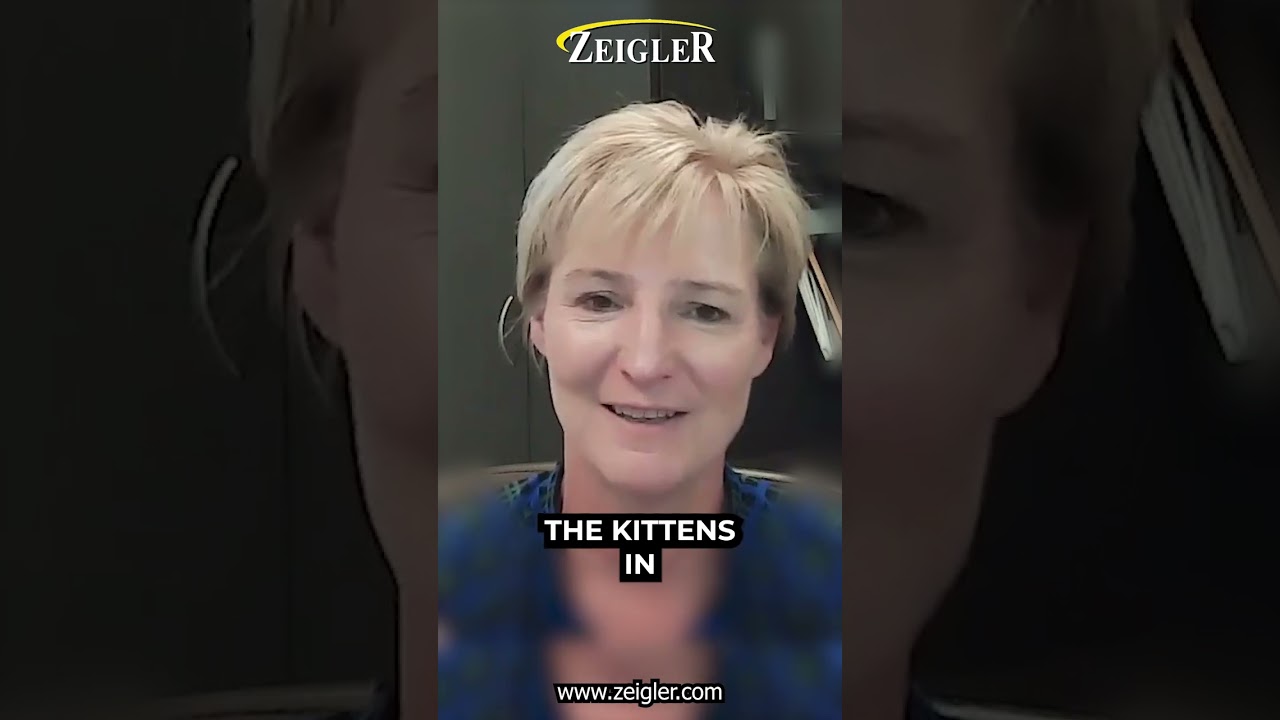 Pillars Evolve, Growth Never Stops Pillars Evolve, Growth Never Stops