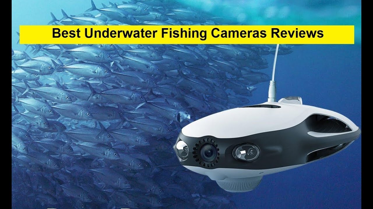 Top 3 Best Underwater Fishing Cameras Reviews in 2019 YouTube
