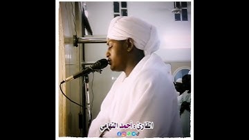 اواخر سورة يس | الحدر الجميل الشيخ #أحمد_التهامي.