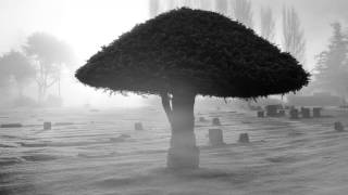 Brainpain - R.I.P. Dubstep