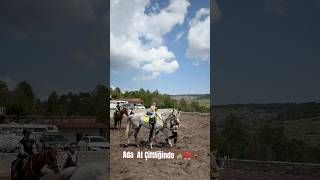 Ada At Çiftliğinde