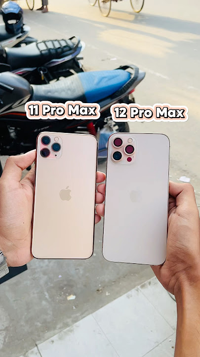 iPhone 11 Pro Max Vs iPhone 12 Pro Max - Camera Zoom Test! #shorts