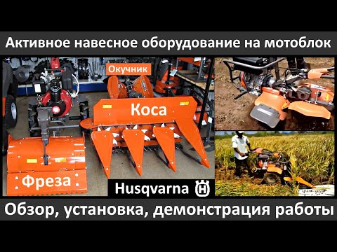 Видео: Устройството и изборът на косата