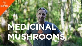 Father of Biohacking: Dave Asprey - Medicinal Mushrooms