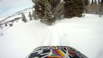 Snowmobile crash into tree