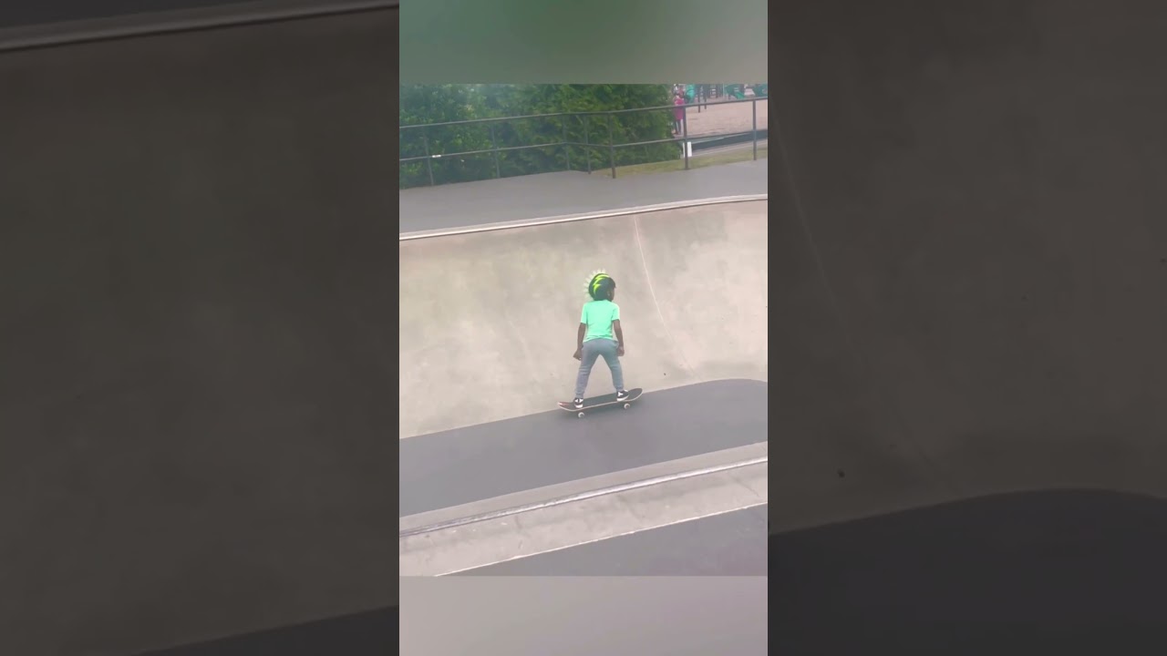 Skate Park Chronicles 