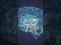 Your Brain Generates Electricity