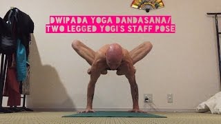 Dwipada Yoga Dandasana/Two Legged Yogi's Staff Pose 