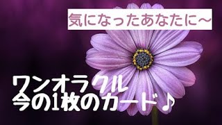 ①【今の1枚のカード♪】ワンオラクルカード占い・鏡リュウジさんの「秘密のルノルマン・オラクル」カードを使って今あなたにお届けする1枚のカードの意味をお届けします！015