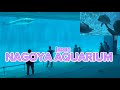 #japan#nagoya#aquarium //AnelynAnac