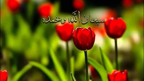 ادريس ابكر سورة يوسف تلاوة رائعة