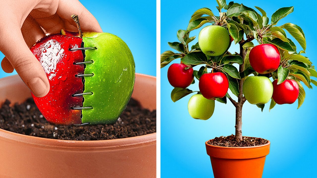 15 GARDENING HACKS YOU’LL WISH YOU KNEW SOONER!