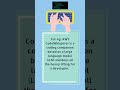 AI-based Code Companions Are Of Great Help For Developers
