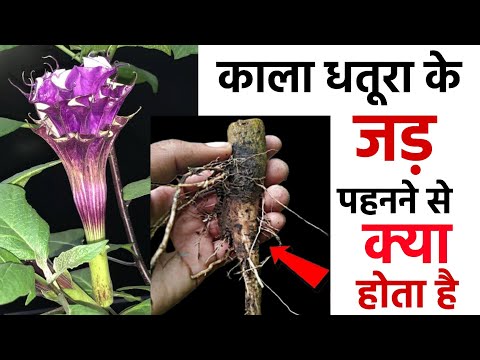 वीडियो: पुरुषों पर फ्रिंज कैसे बनाएं: 13 कदम (चित्रों के साथ)