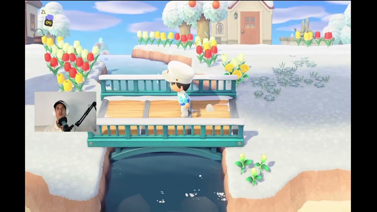 On avance dans le DLC d'animal crossing