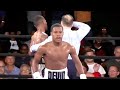 Devin haney  top knockouts