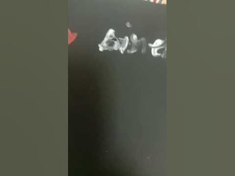 holi koli song