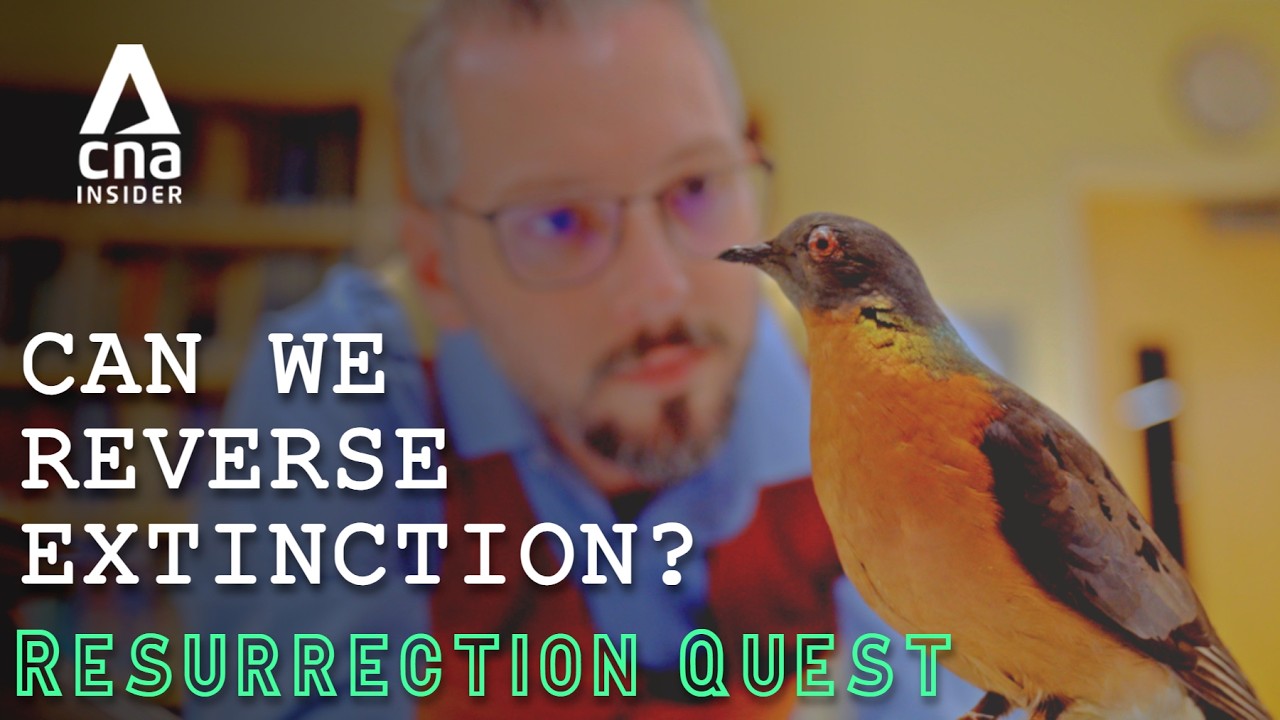Can We Reverse Death? Scientists Try Cloning Extinct Wildlife | The Resurrection Quest - Ep 1/4