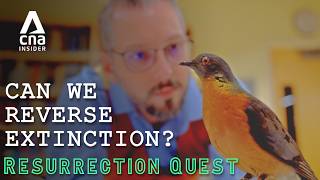 Can We Reverse Death? Scientists Try Cloning Extinct Wildlife | The Resurrection Quest - Ep 1/4