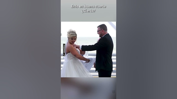 Video of a bird ruining a wedding on a Florida beach