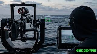 The 3.9KM Headshot Physics That Terrified Real Military Experts 🎯