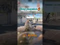 Cleanest Scout Jump Shot You’ll See Today 🎯 #cs2 #csgo