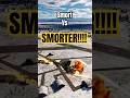 He thought he was smort... but the Fishbed is SMORTER. 🧠✈️ | DCS | PVP | 4K