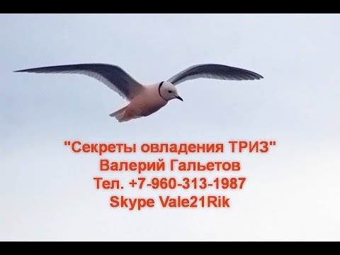 Секреты ТРИЗ. Секрет 2. Ясновидение