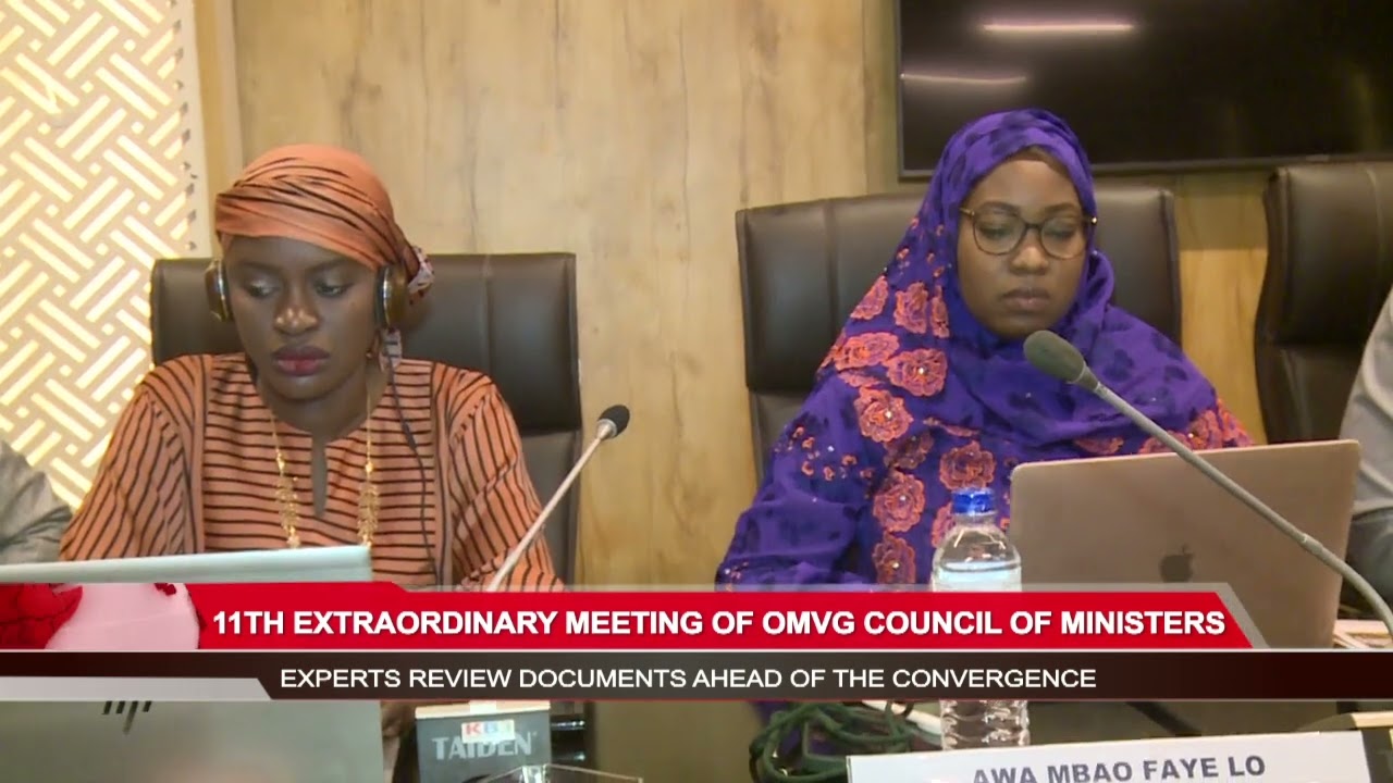 Experts review the performance of the OMVG ahead of the council of ministers meeting