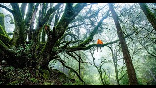 Shelter and Survival