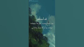 Surah Maryam | Ayah 93-96 | Sheikh Abdul Rahman Mossad| أواخر سورة مريم | القارئ عبدالرحمن مسعد