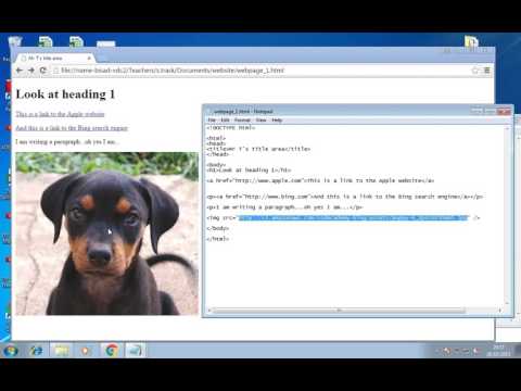 HTML activity 2b   adding images and linking them