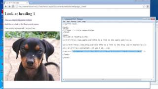 HTML activity 2b   adding images and linking them