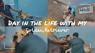 Day in the life with my Golden Retriever (Fur-Mom Life with Tobi, Vet Day)