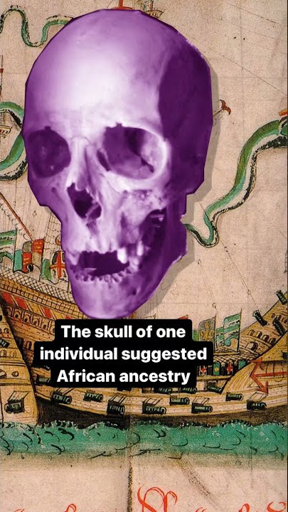 Diversity on board the Mary Rose | The Royal Society