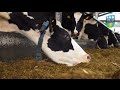 Dairy Research and Education Facility opens at UCD Lyons Research Farm Dairy Research and Education Facility opens at UCD Lyons Research Farm
