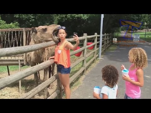 Most UNEXPECTED MOMENTS with KIDS! - FUNNIEST VIDEOS 2019