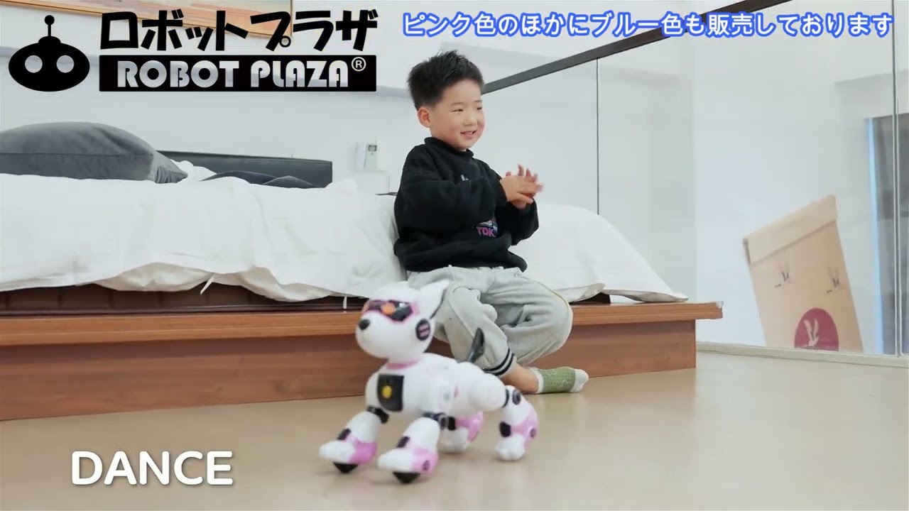 動くロボット犬 「R27」 鳴き声マネ・プログラミング・ダンスで遊べる