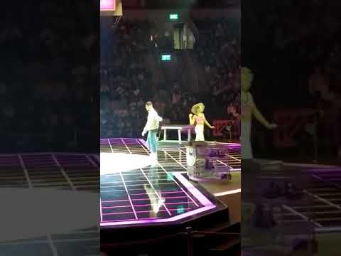 הכל שקוף מרגי פליי פסטיגל 