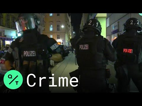 Several Injured After Reported Shooting at Vienna Synagogue, Police Say