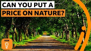 Can you put a price on nature | The Royal Society