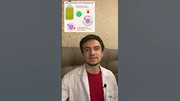 🍯 Мёд ❗️Стоит ли употреблять ⁉️ Чего больше пользы или вреда