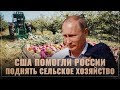 США помогли России поднять сельское хозяйство и выйти в мировые лидеры