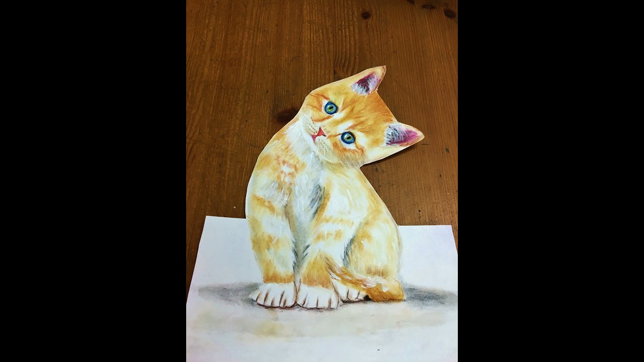 How to draw  a 3D  cat Cat drawing  YouTube