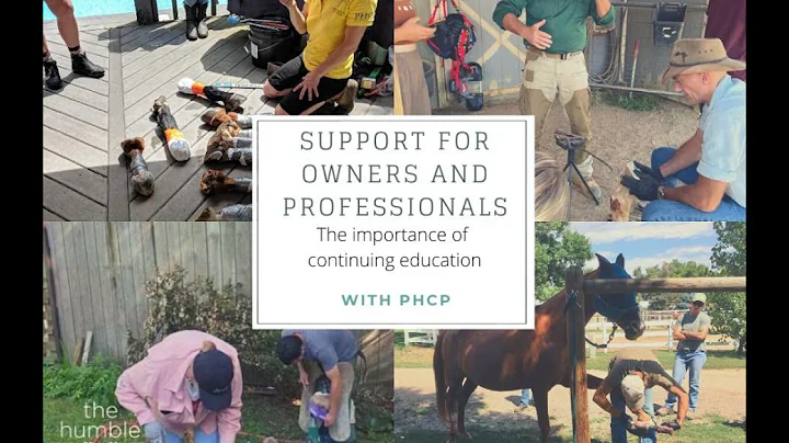 Support for Owners and Professionals: The Importan...