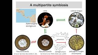 Natural Products and Drug Design from Accra to America