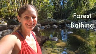 Forest Bathing: Becoming ONE with NATURE screenshot 5