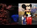 The Seas with Nemo & Friends / Meet Disney Pals at the Epcot Character Spot at Walt Disney World