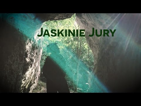 Wideo: Gniazda I Jaskinie