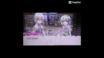 Some funny/idiotic things I found in rune factory 4